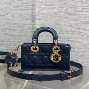 dior d joy (复制)