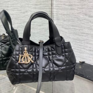 dior toujours