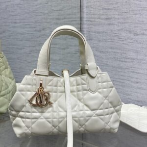 dior toujours (复制)