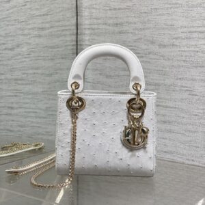 dior lady (复制)