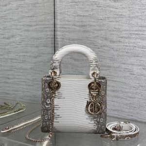 dior lady (复制)