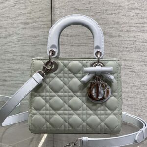 dior lady (复制)