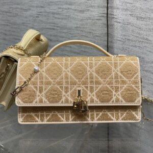 dior lady micro (复制)