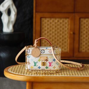 louis vuitton diane (复制)