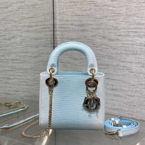 dior lady (复制)