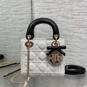dior lady (复制)