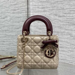 dior classic lady (复制)