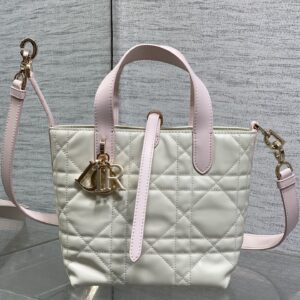 dior toujours (复制)