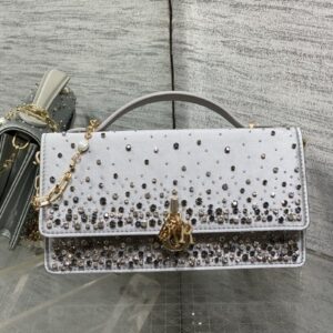 dior lady micro (复制)