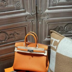hermes birkin 25 (复制)